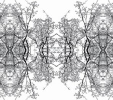 inorganiclandcatalog001