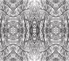 inorganiclandcatalog002