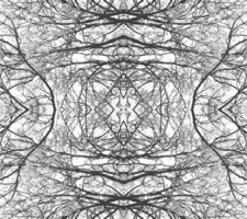 inorganiclandcatalog003