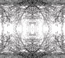 inorganiclandcatalog004