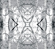 inorganiclandcatalog005