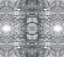 inorganiclandcatalog006